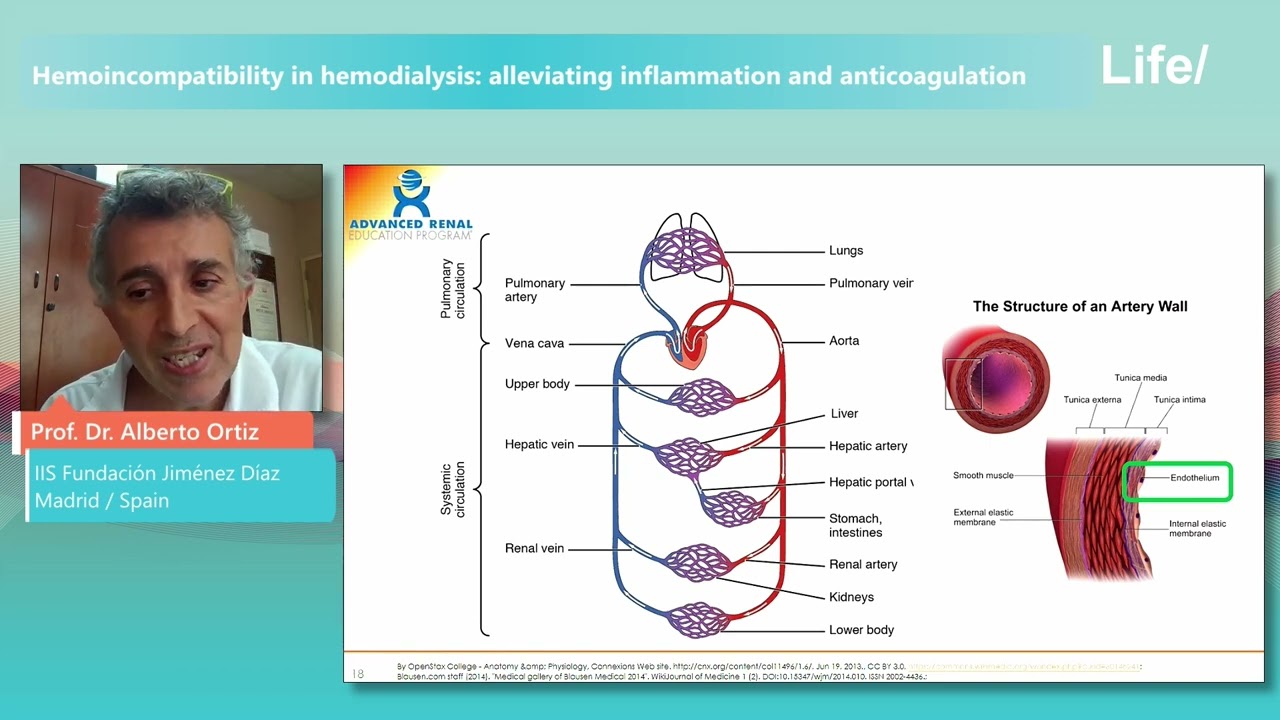 Haemoincompatibility in Haemodialysis: Alleviating Inflammation and Anticoagulation