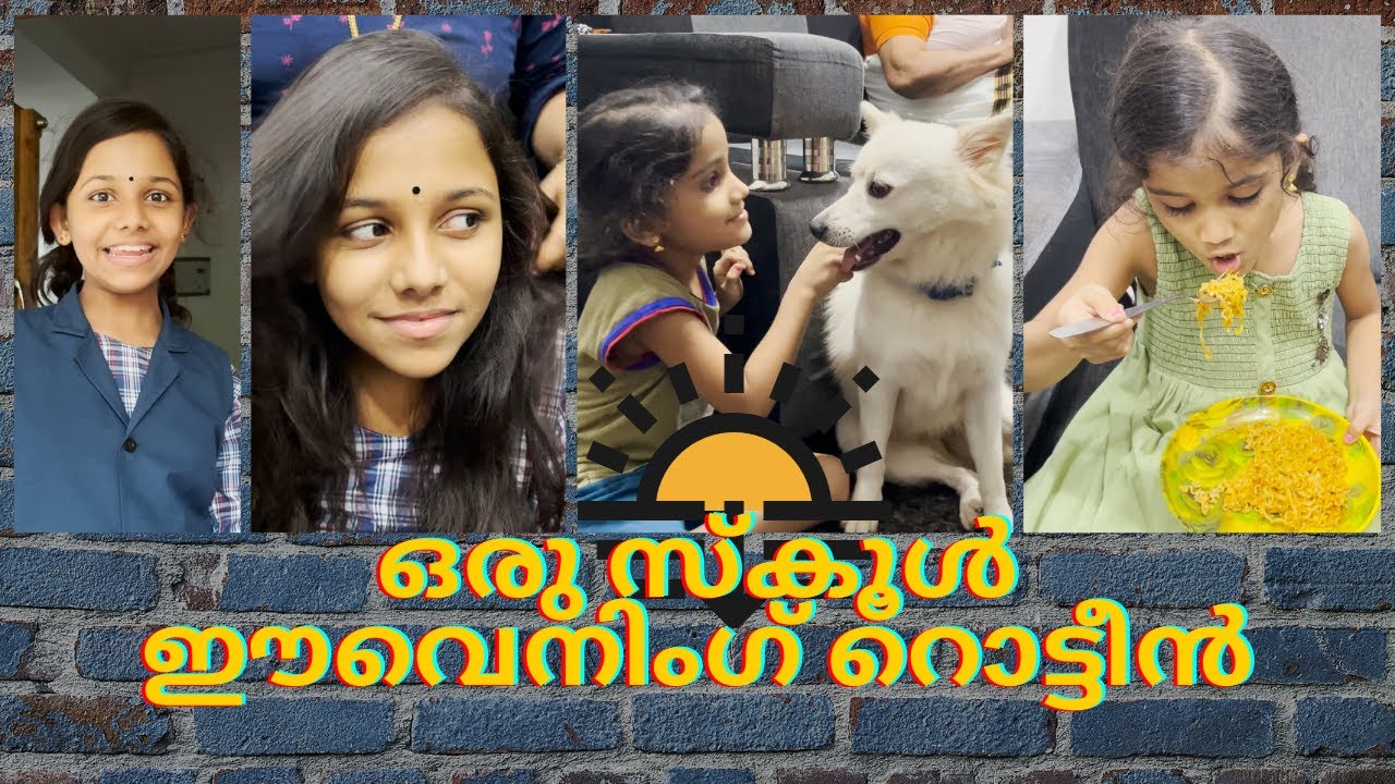 സ്‌കൂൾവിട്ട് വന്ന് നിക്കിയുടെകൂടെ ഒരു ഈവെനിംഗ് റൊട്ടീൻ | School Day Evening Routine !
