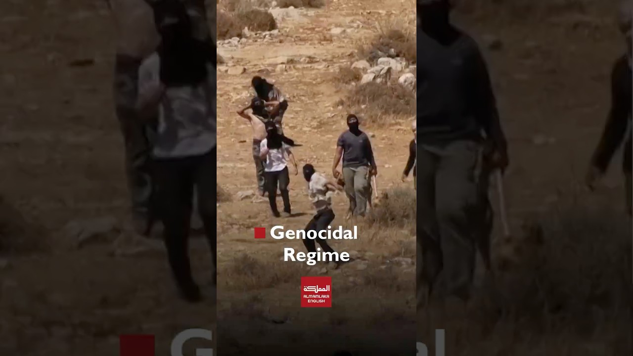 B&rsquo;Tselem Slams Israel Over Gaza and West Bank Violence, Says it's a Genocidal Regime