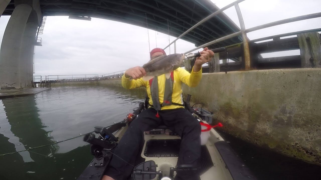 Tog Jigging with S&S Magic Meez