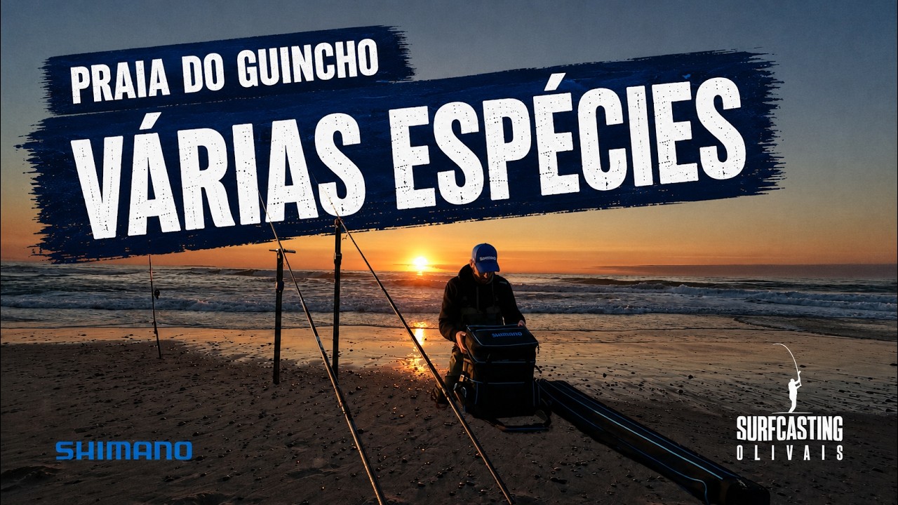 VÁRIAS ESPÉCIES | Praia do Guincho