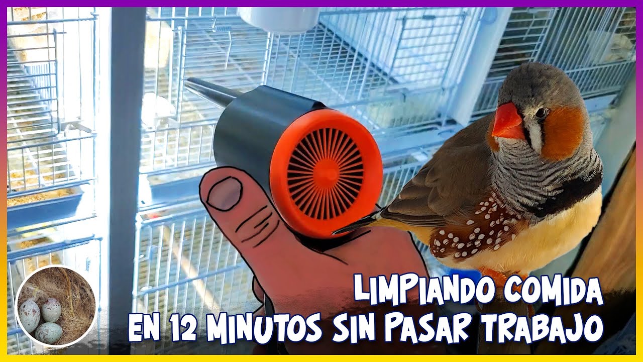 LIMPIANDO COMIDA en 12 MINUTOS SIN PASAR TRABAJO🦜