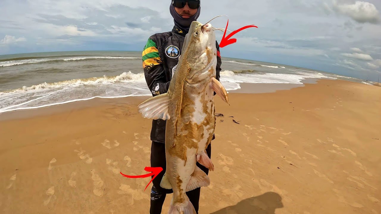 O MONSTRO DO MAR?? FOI O MAIOR QUE JA VI EM MINHA FRENTE!! PEIXE RARO!! VER&Atilde;O DE PONTA DOS MANGUES 6