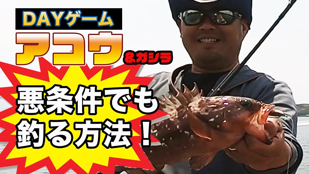 瀬戸内ロックフィッシュ攻略。アコウ（キジハタ）デイゲーム適当にやりながら要所要所で凄い大事な事を言ってます。 地球遊び#58