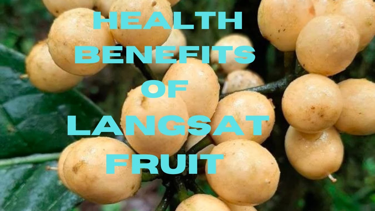 How to make Langsat Fruit Juice|| Health Benefits of Langsat (Lanzones) #bovkatvlog
