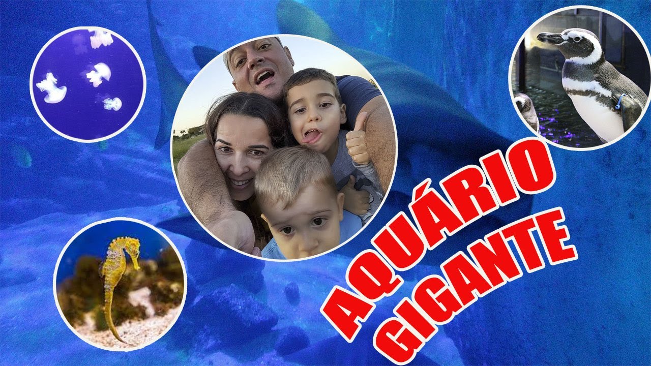 Fomos em um MEGA AQUÁRIO em busca do TUBARÃO