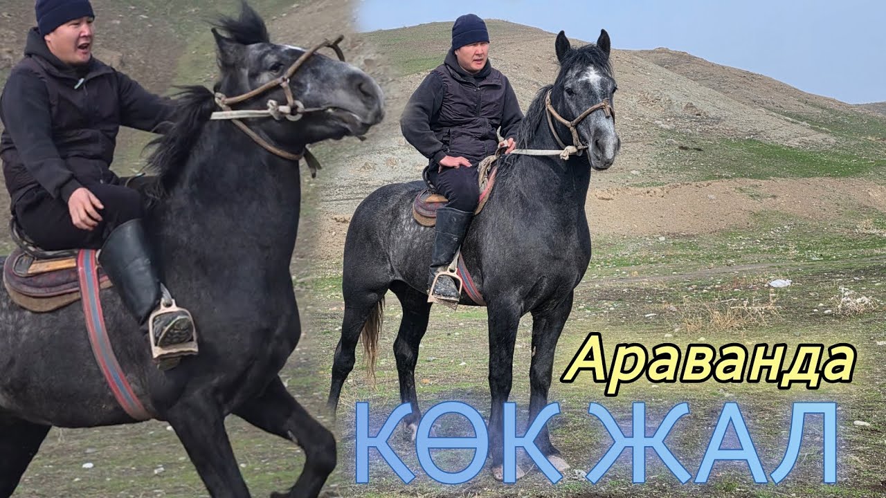 КӨК ЖАЛ АРАВАНДЫН АТЫ 