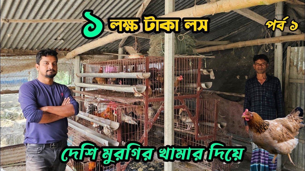 ইউটিউবের লাভের গল্প শুনে খামার দিছিলাম ১ লক্ষ টাকা লস দেশি মুরগির খামার দিয়ে