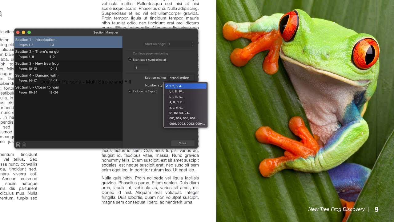 Нумерация страниц (Affinity Publisher)