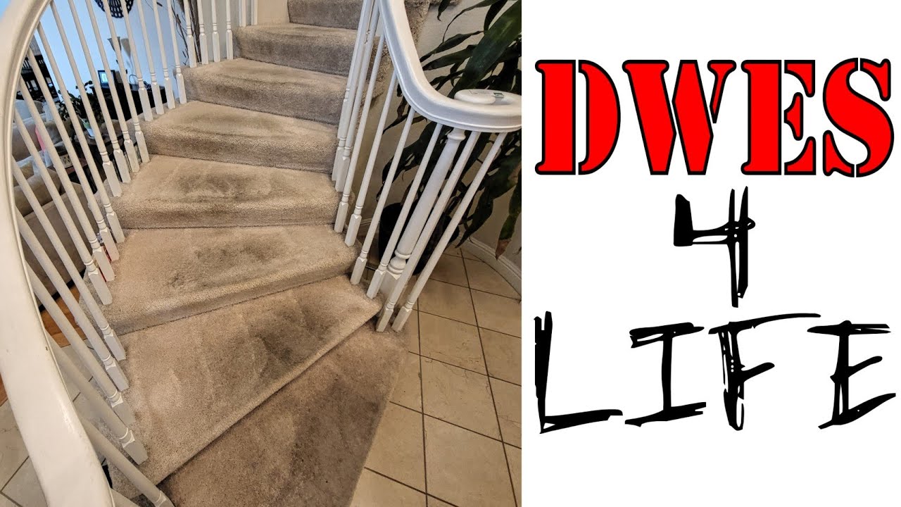 Customer 5x: Carpet Is Still Dark | Nasty Carpet Cleaning by DWES Enterprise | #DWES4Life