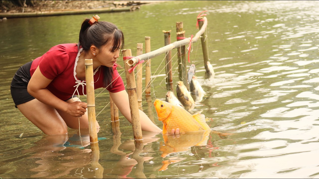 Traditional fishing skills - Girl Caught a Giant Golden Carp With a Bamboo Hook.