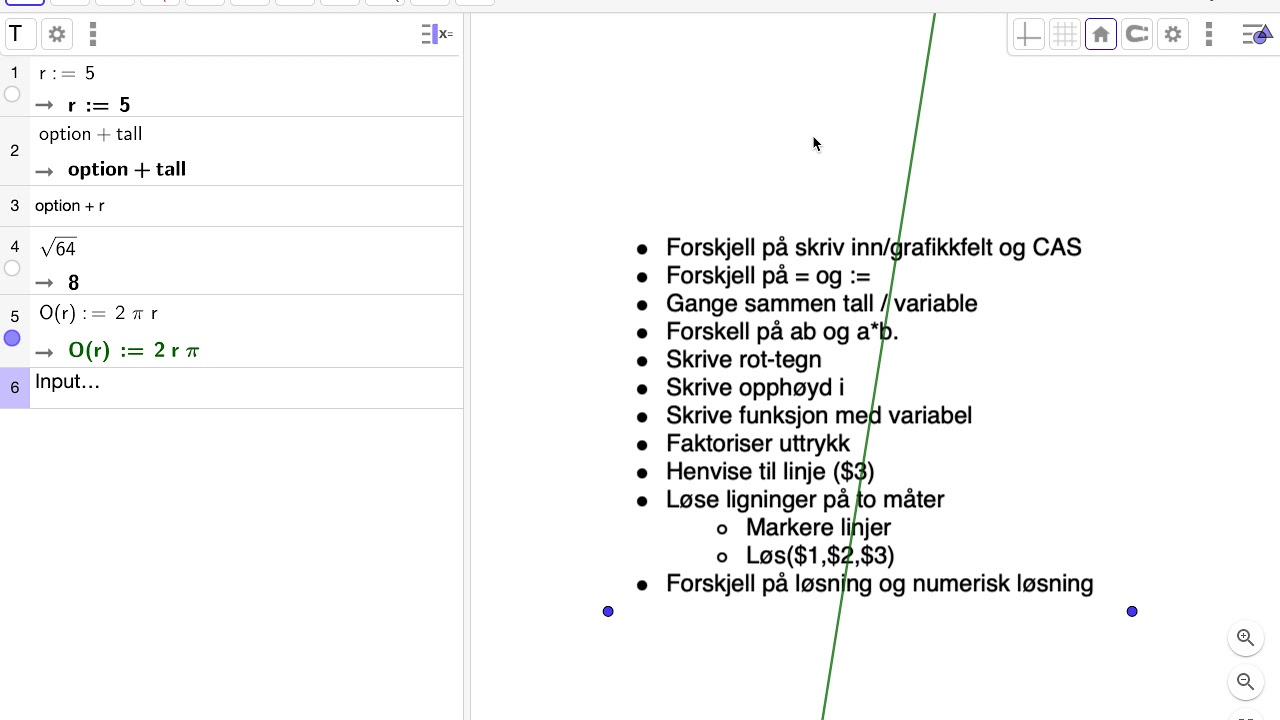 Kort innføring i GeoGebra (CAS)