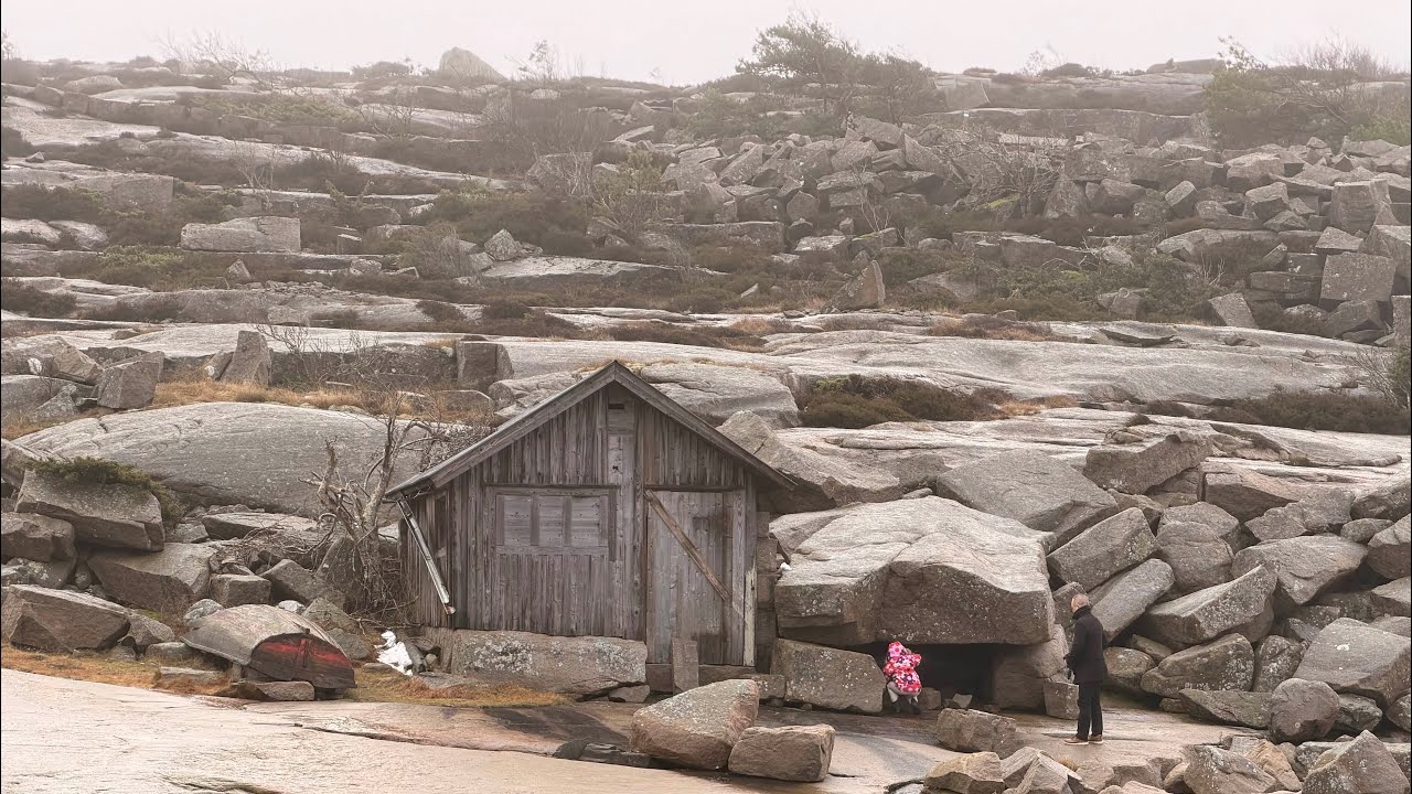 Naomi —Vintervandring i Bohuslän ❄️ Ramsvikslandet Naturreservat 