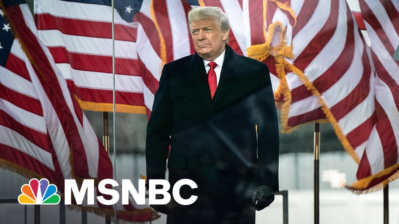 Rioters Thought They Were 'Called To Action' By Trump Says 1/6 Witness