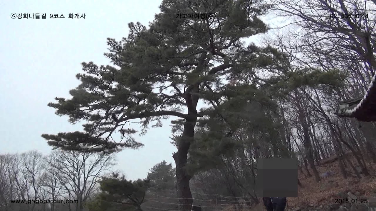 ⓒ 화개사(강화) 나들길9코스 가고파여행(주) 02)535-0114