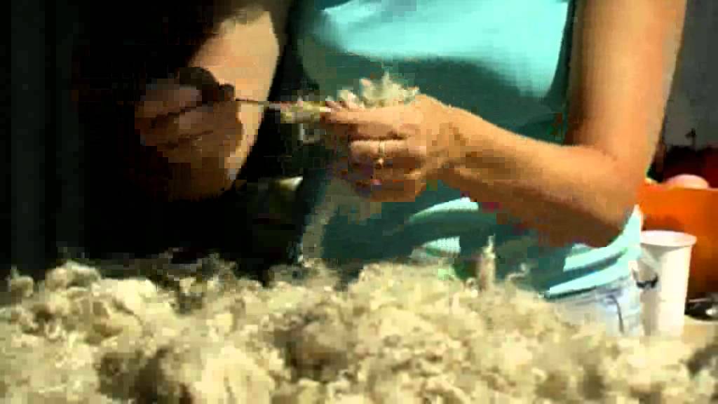 Mohair des fermes de France