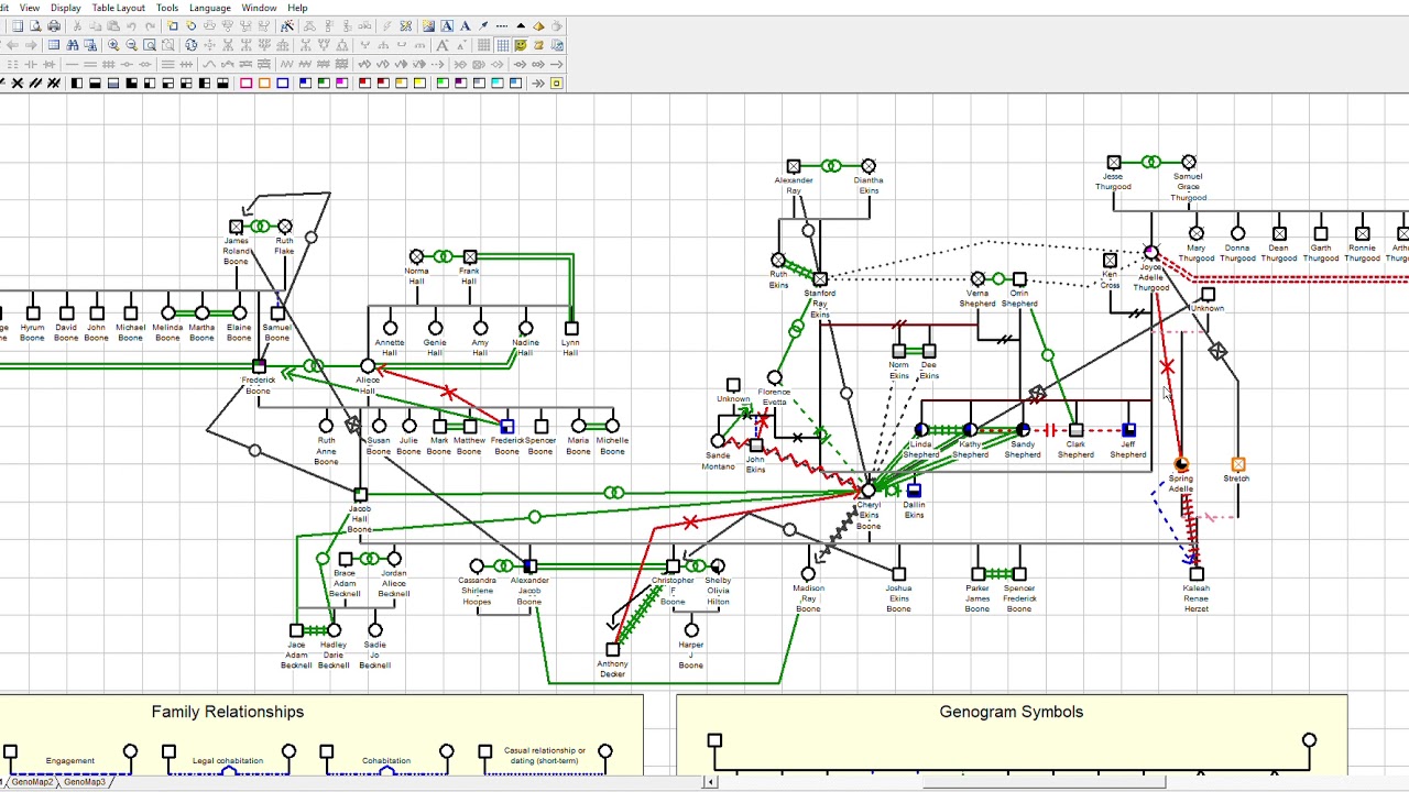 GenoPro 2019   Genogram @ GenoMap1 8 7 2019 12 16 27 AM