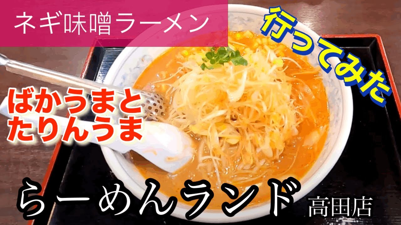 【ネギ味噌󠄀ラーメン】らーめんランド高田店さんに行ってみた