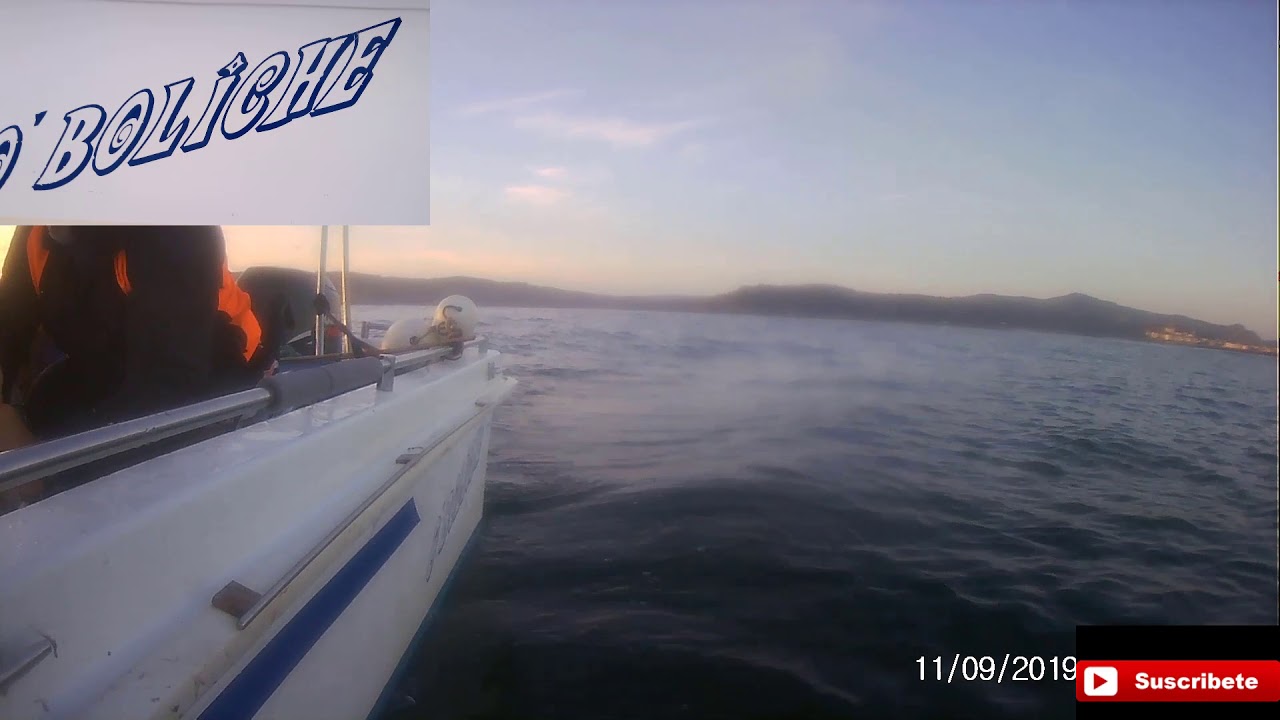 pesca sarretas en galicia