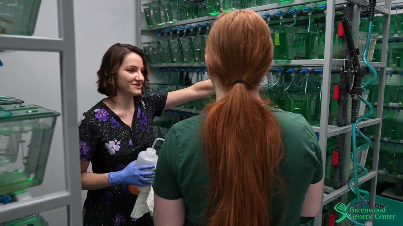 Careers in Genetics: Research Scientist