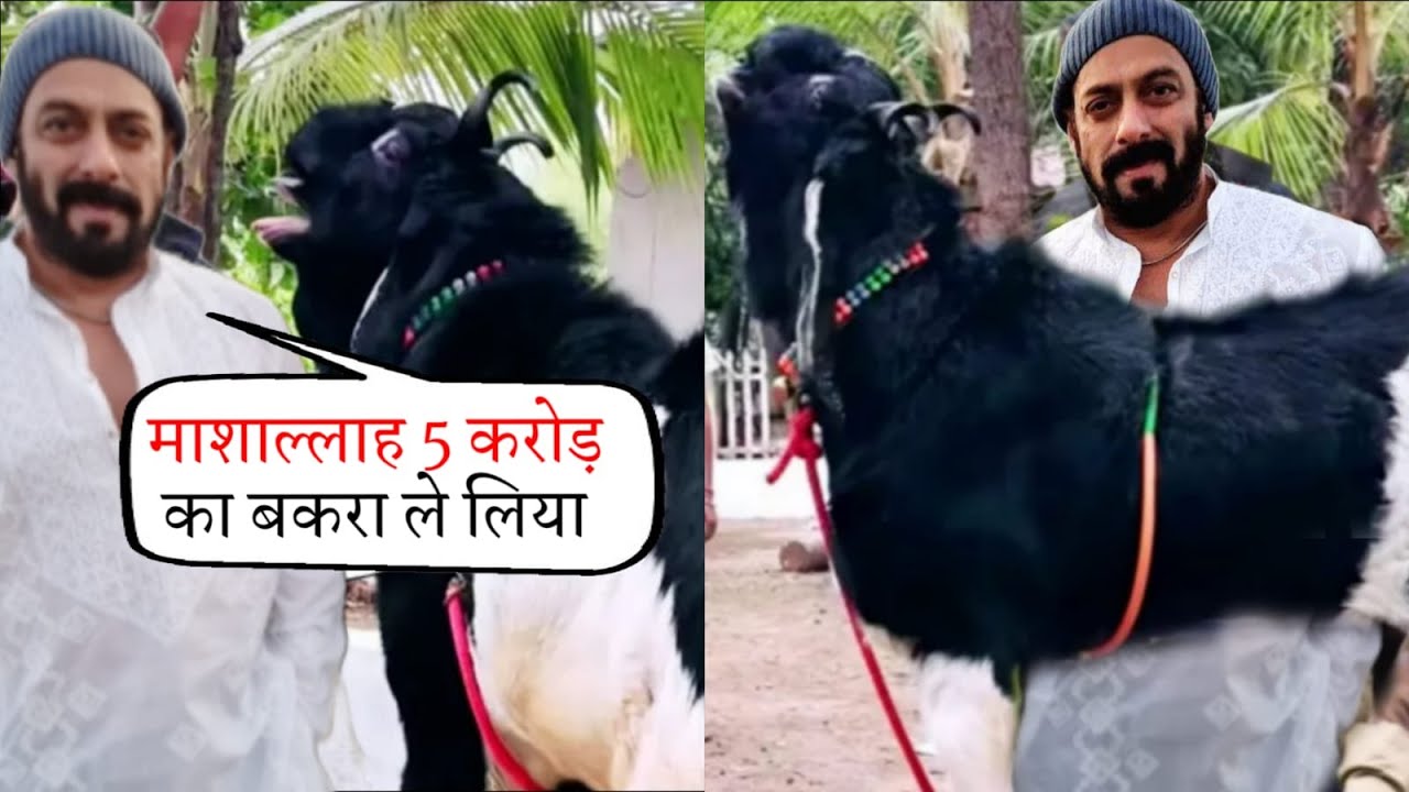 5 Crores का बकरा! Salman Khan Bought a Goat Worth Crores of Rupees for Bakra Eid 2025?