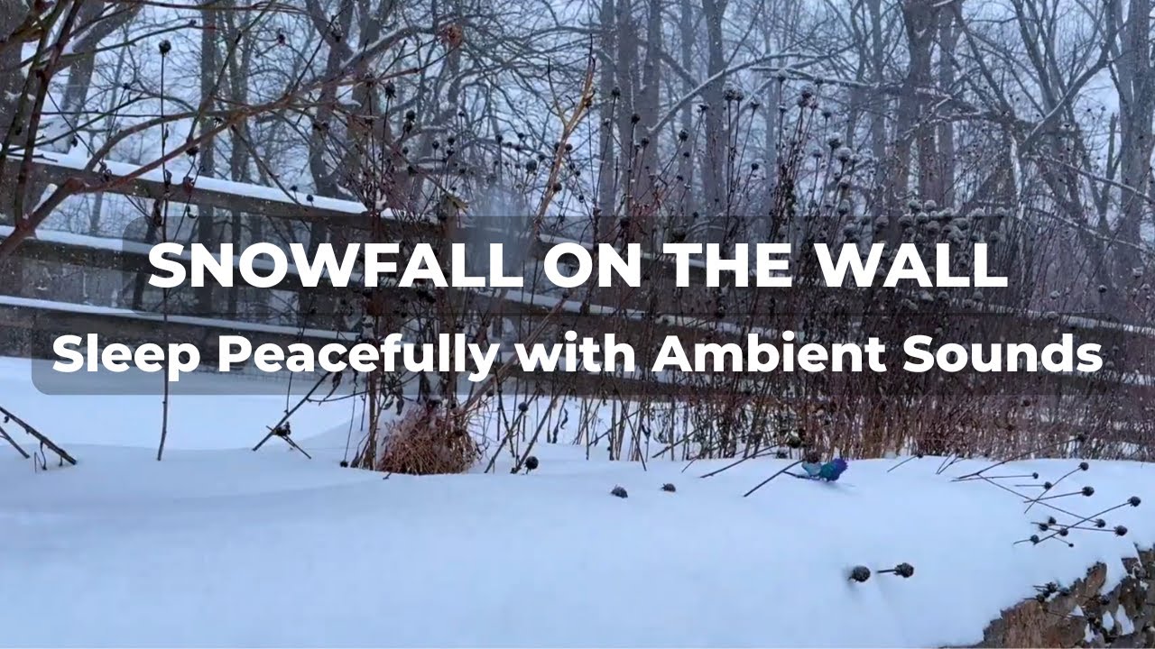 Sleep Peacefully ❄️ 1 Hour of Snowfall on a Stone Wall | Real Nature Video (HD)