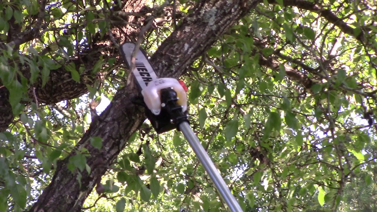 TOOL REVIEW : ECHO PPF-225 POWER PRUNER