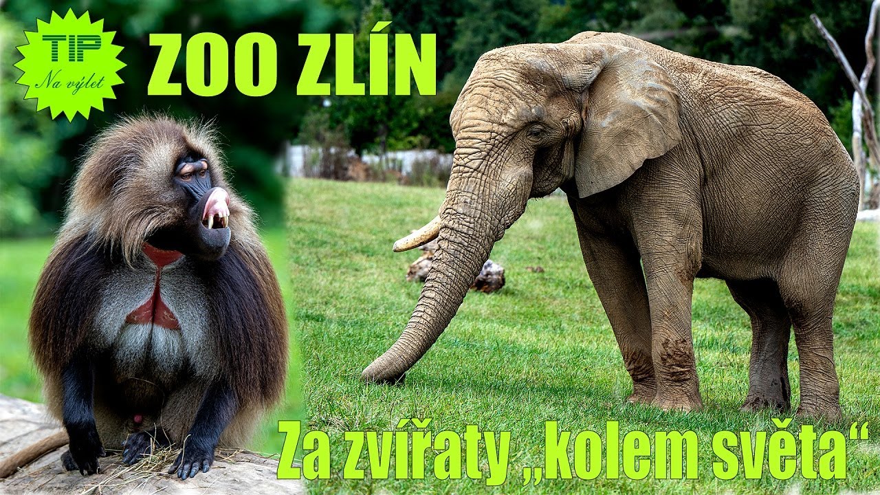 Zoo Zlín - 