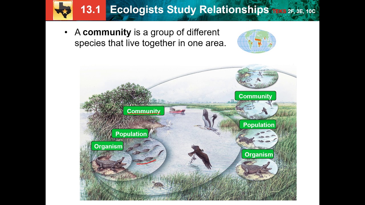 13.1: ecologists study relationships