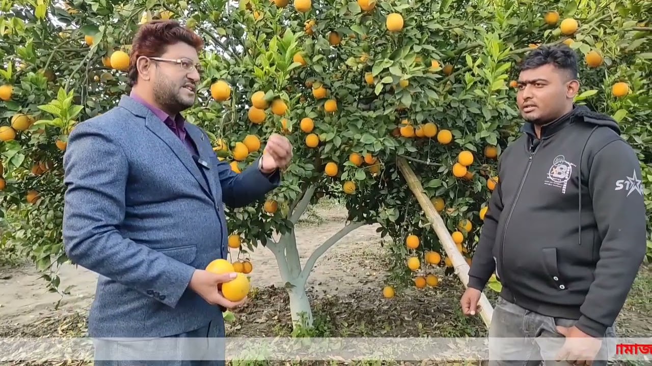 সফল উদ্যোক্তা, স্বপ্নদ্রষ্টা ও স্বপ্নবাজ সজল ভাইয়ের অস্ট্রেলিয়ান ইয়েলো কিং মাল্টার আত্মকাথা।