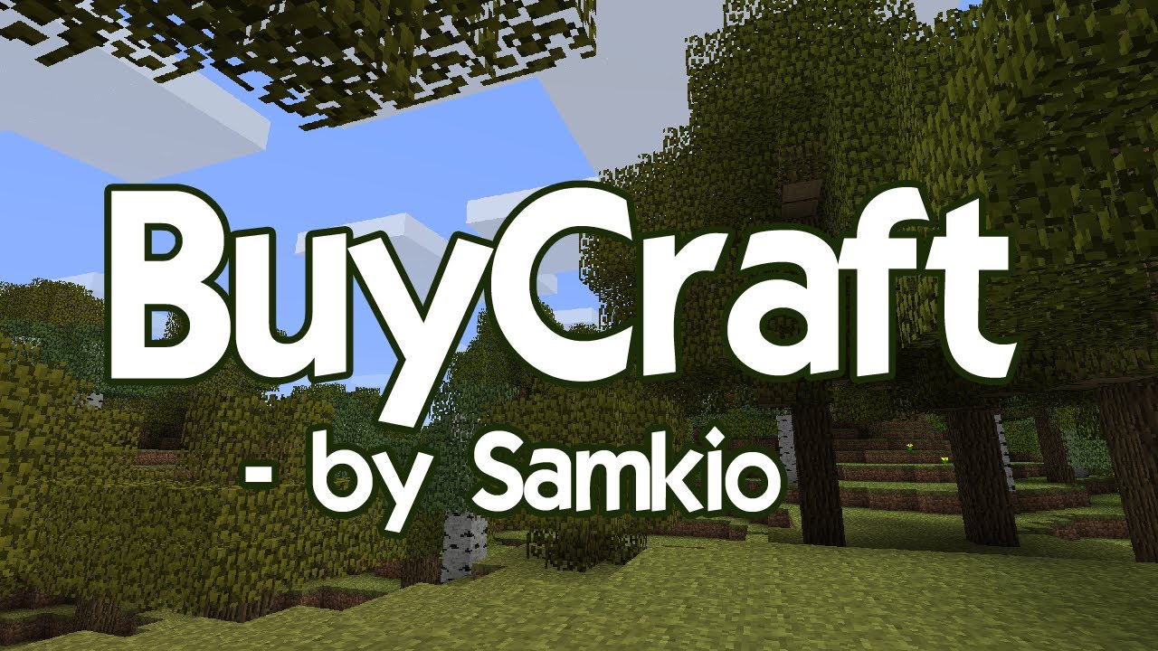 How to use and install BuyCraft Revisted