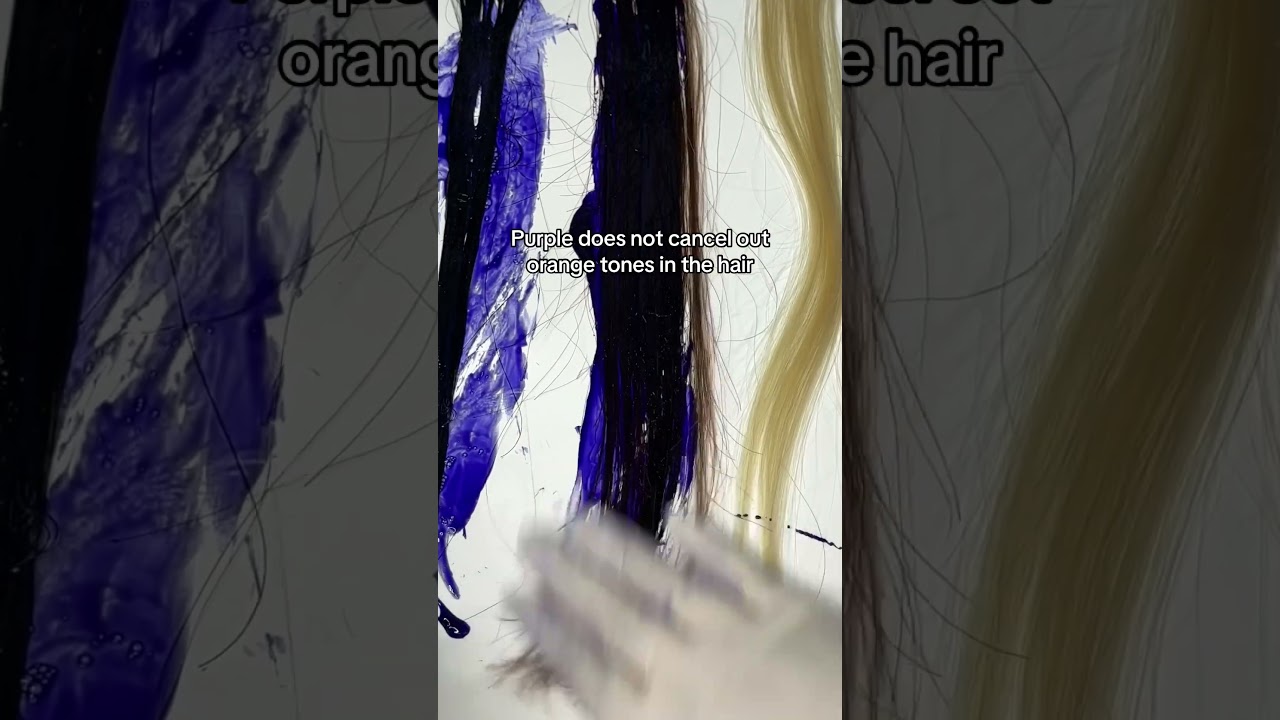 Purple shampoo on black, brown and blonde hair 💜 #pallure #GOAT #purpleshampoo