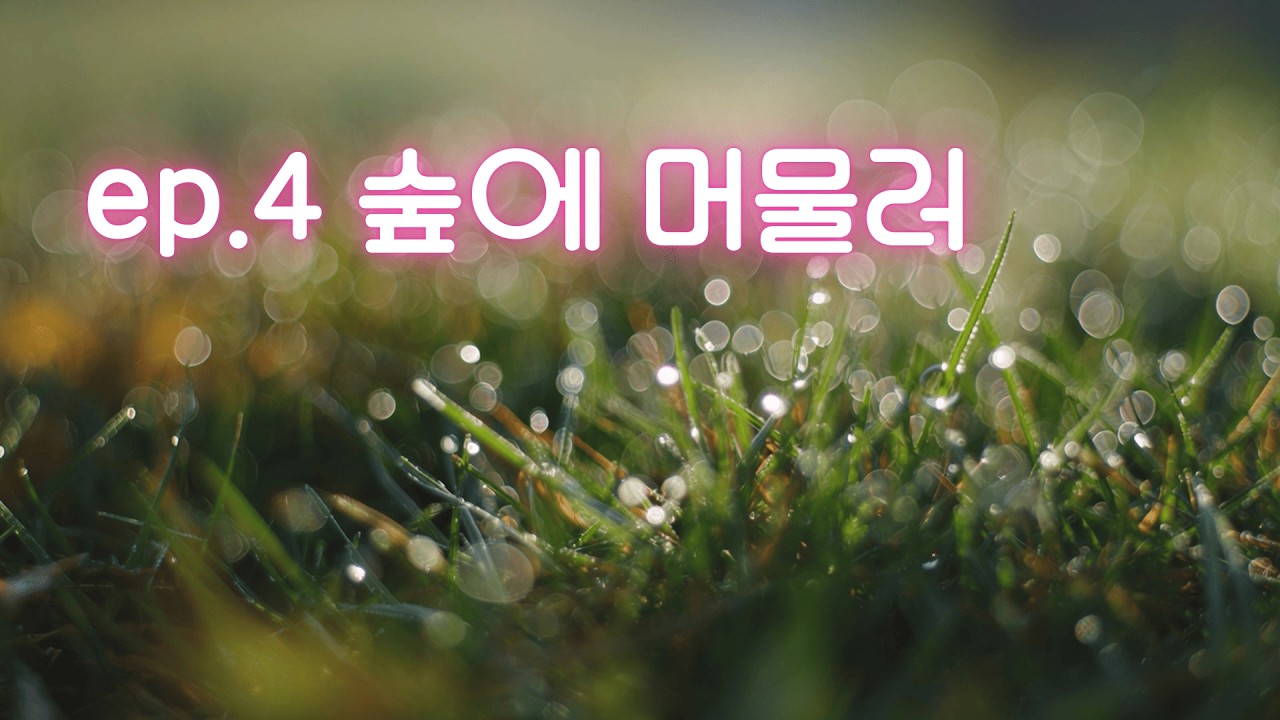 EP.4 봄 (부제: 숲에 머물러)