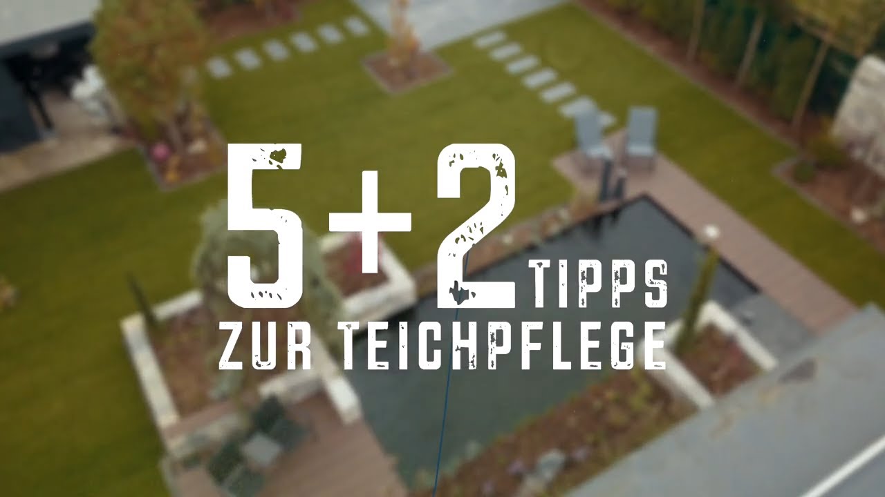 Die richtige Teichreinigung - 5 +2  Tipps für klares Wasser