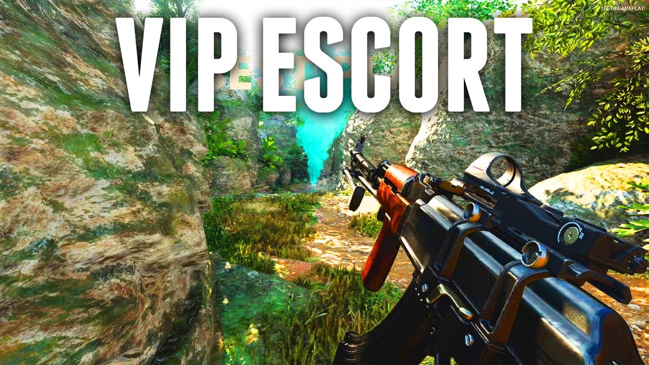 My first and last time playing VIP Escort