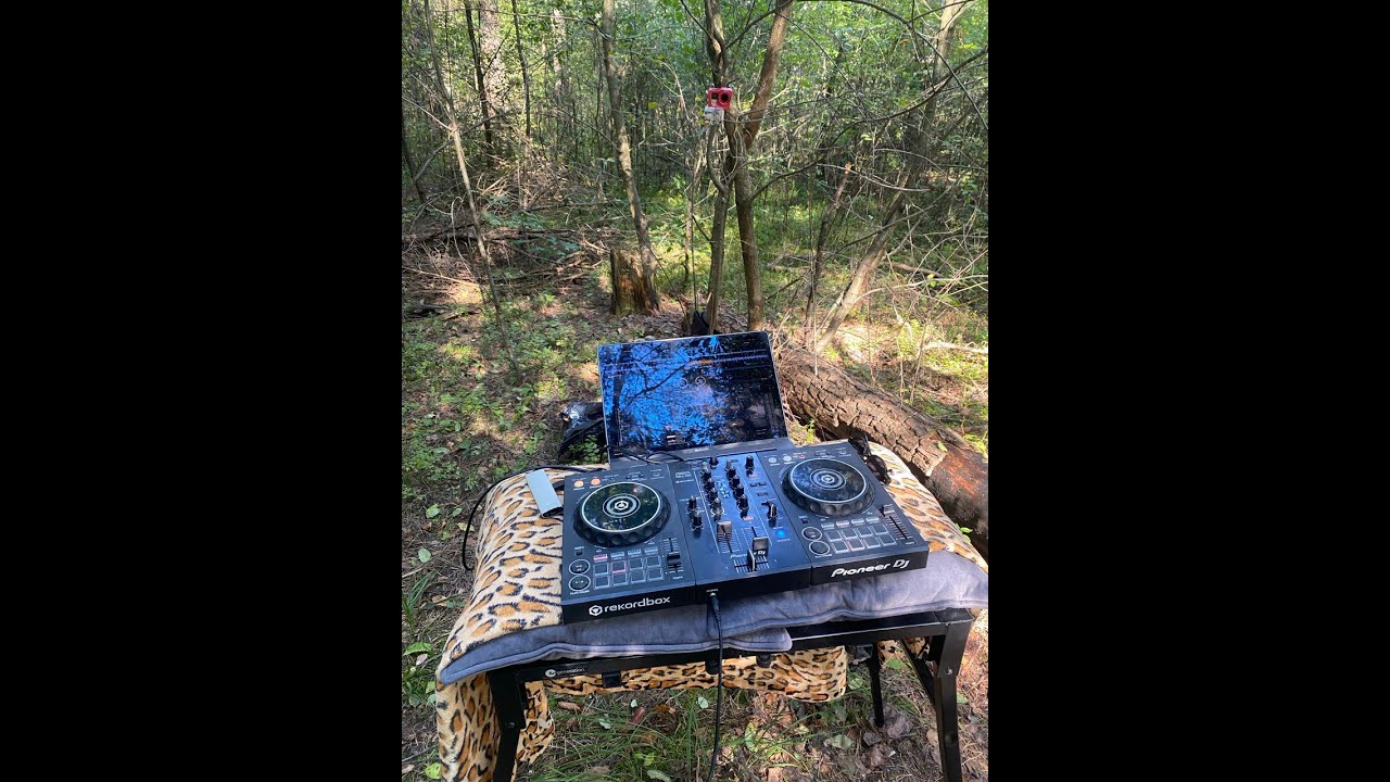 Electroforest morning mix by Spacebit@31.08.25