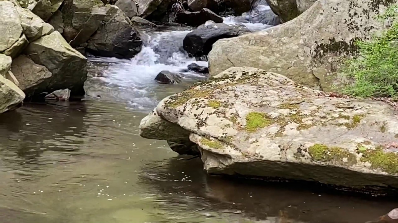 Fly Fishing NJ