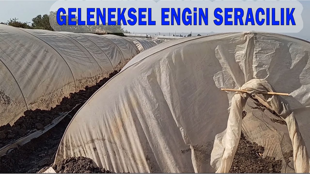 SERA YAPIMI/MERSİN'DE GELENEKSEL TARIM