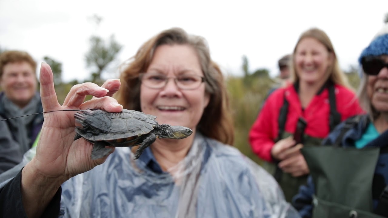 Testing a new place for Western Swamp Tortoises in a changing climate