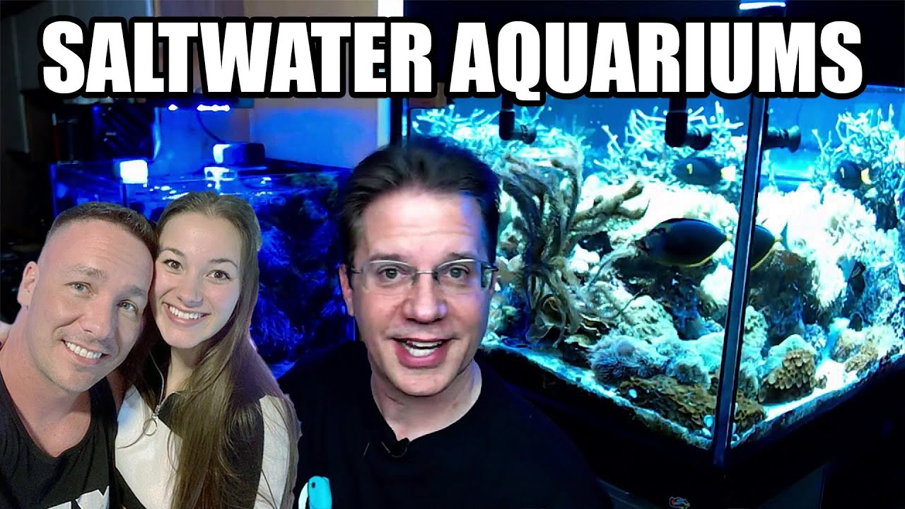Aquariums Unfiltered - Episode 5 - MELEVSREEF - The king of DIY