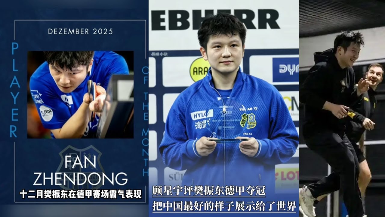 樊振东获评德甲12月最佳球员，留洋征程书写中国乒乓传奇