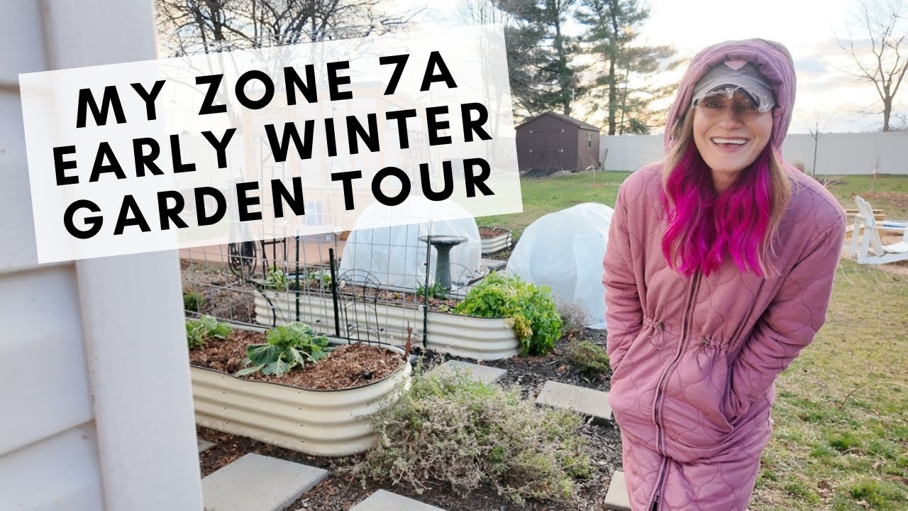Tour my zone 7 winter garden with me to see what we're growing & experimenting with!