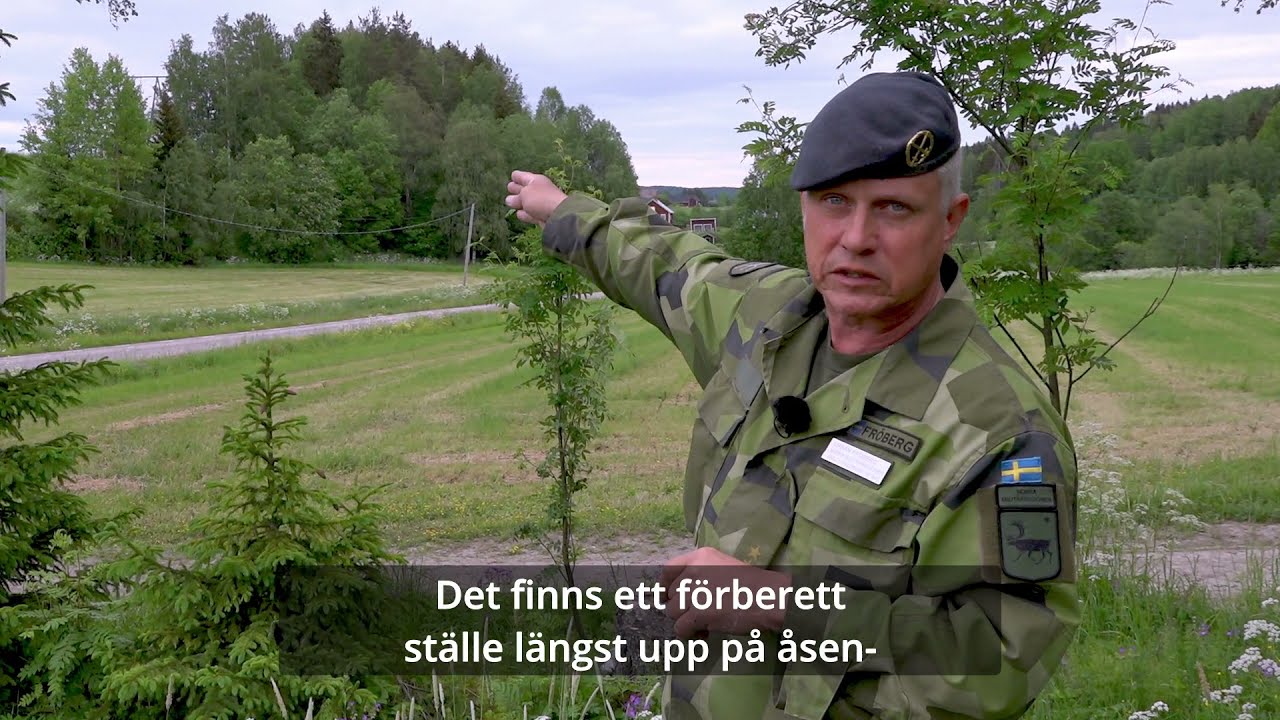 Striderna i Selånger 1721