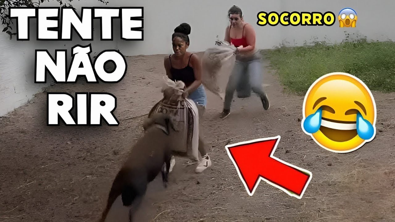 TENTE NÃO RIR 😂 OS MEMES MAIS ENGRAÇADOS DA INTERNET #videosengracados #tentenaorir #memes #comedia
