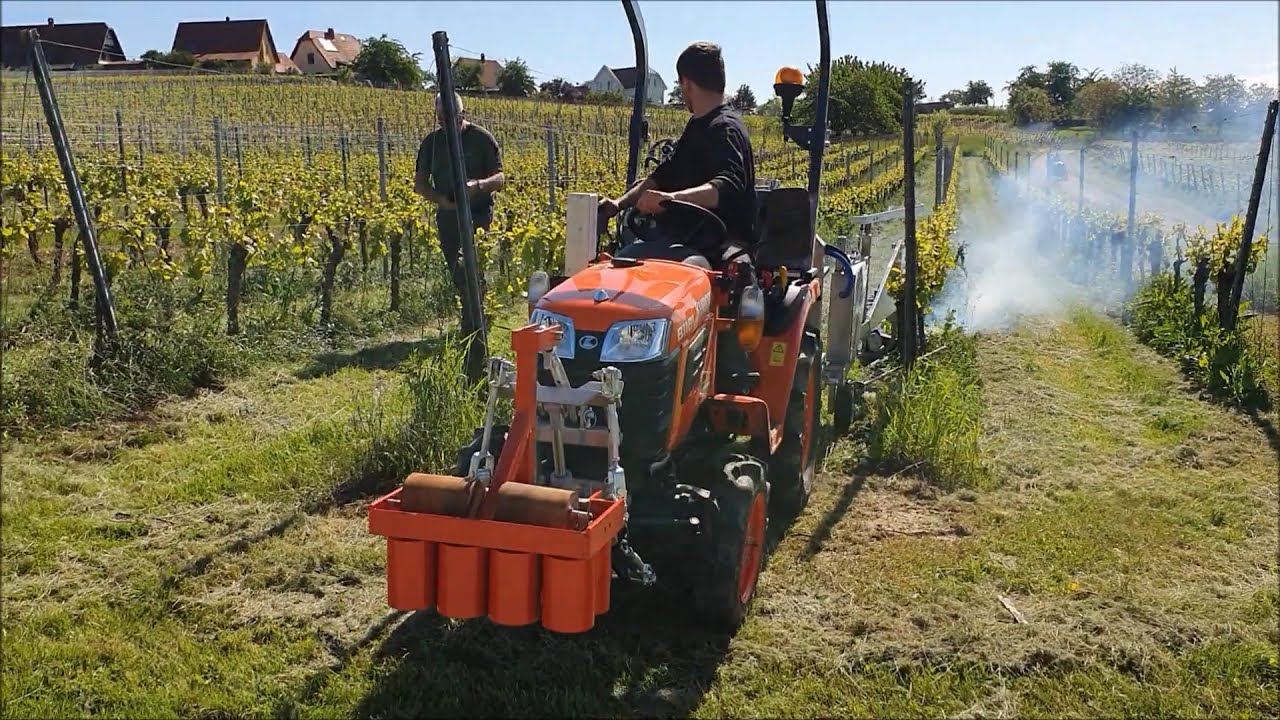 D&eacute;sherbage thermique vigne - mai 2021