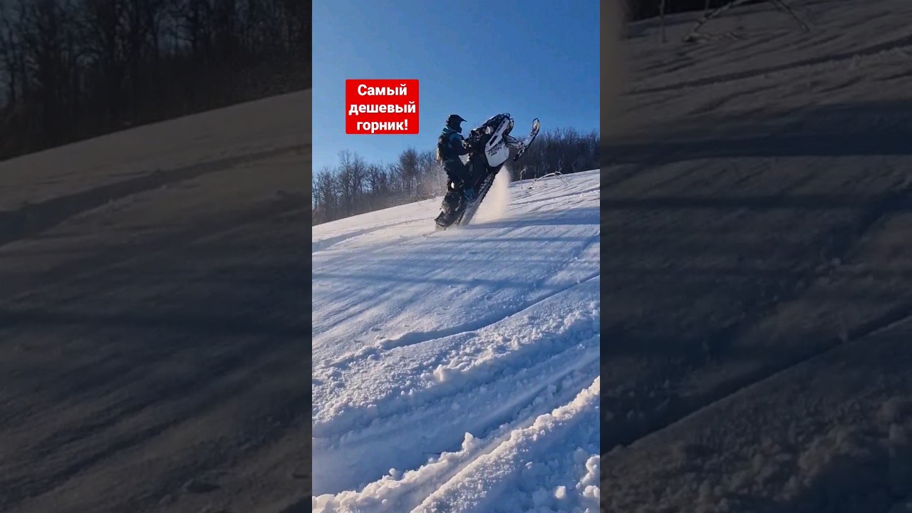 нужно ли переплачивать за brp если есть polaris pro-ride?) #2tlife #экстрим #снегоход #путешествия