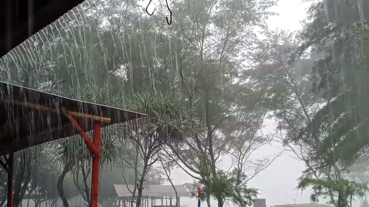 Rain on the 79th day