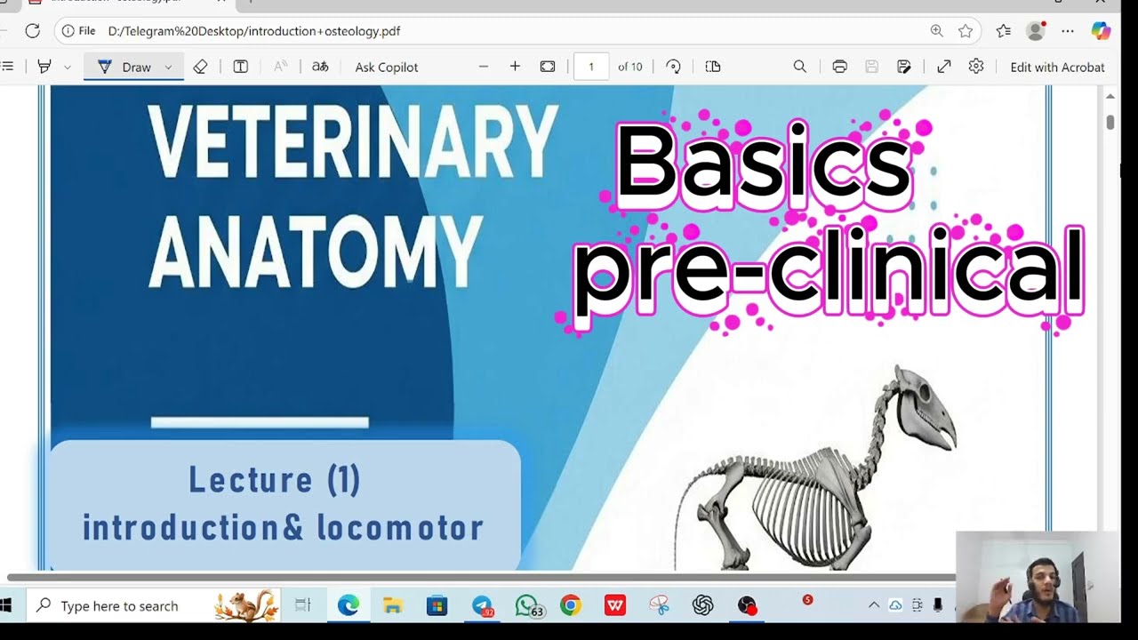اول محاضره تأسيسية طب بيطري 2026 veterinary medicine lecturer one دكتور علي صقر 