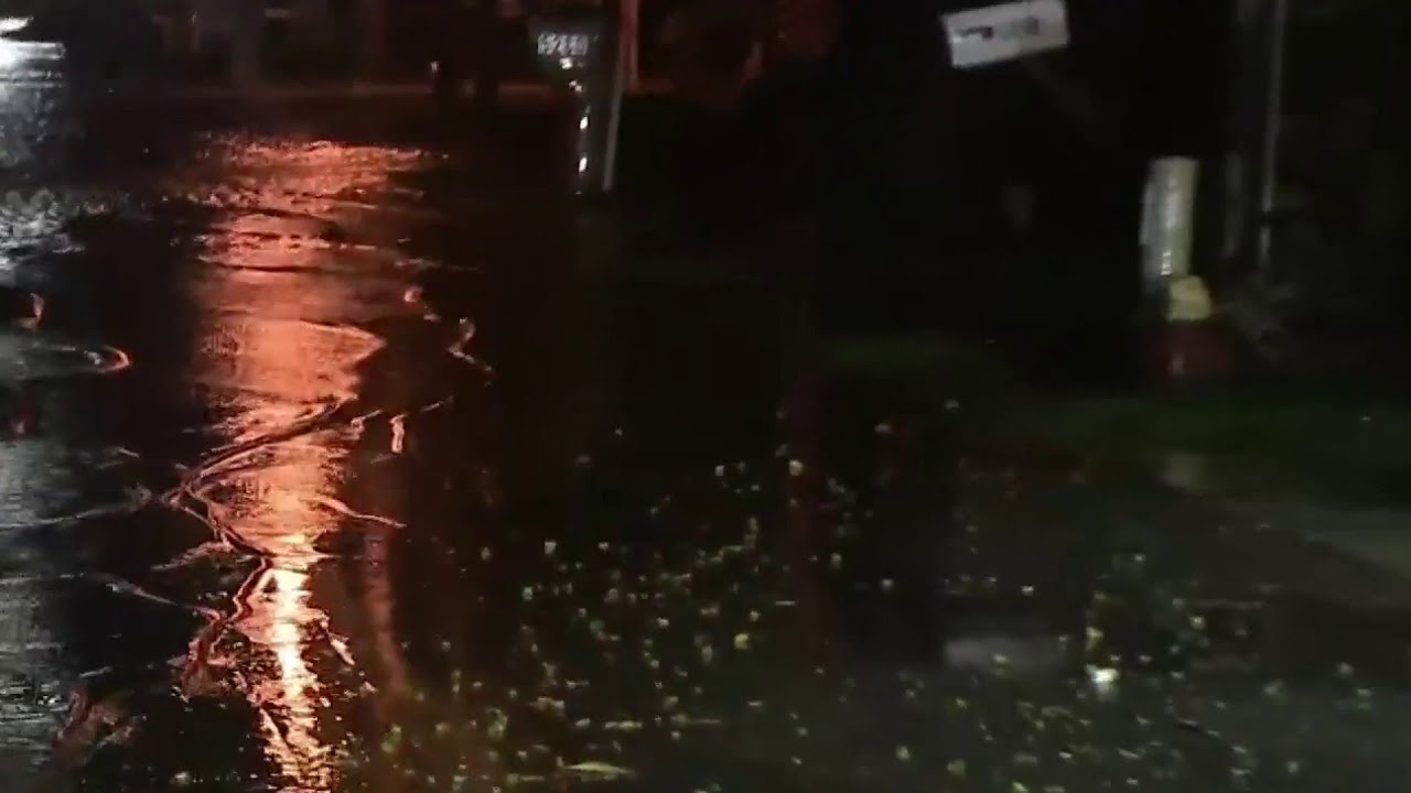 Hurricane Nicole causes Halifax River to jump banks in Port Orange