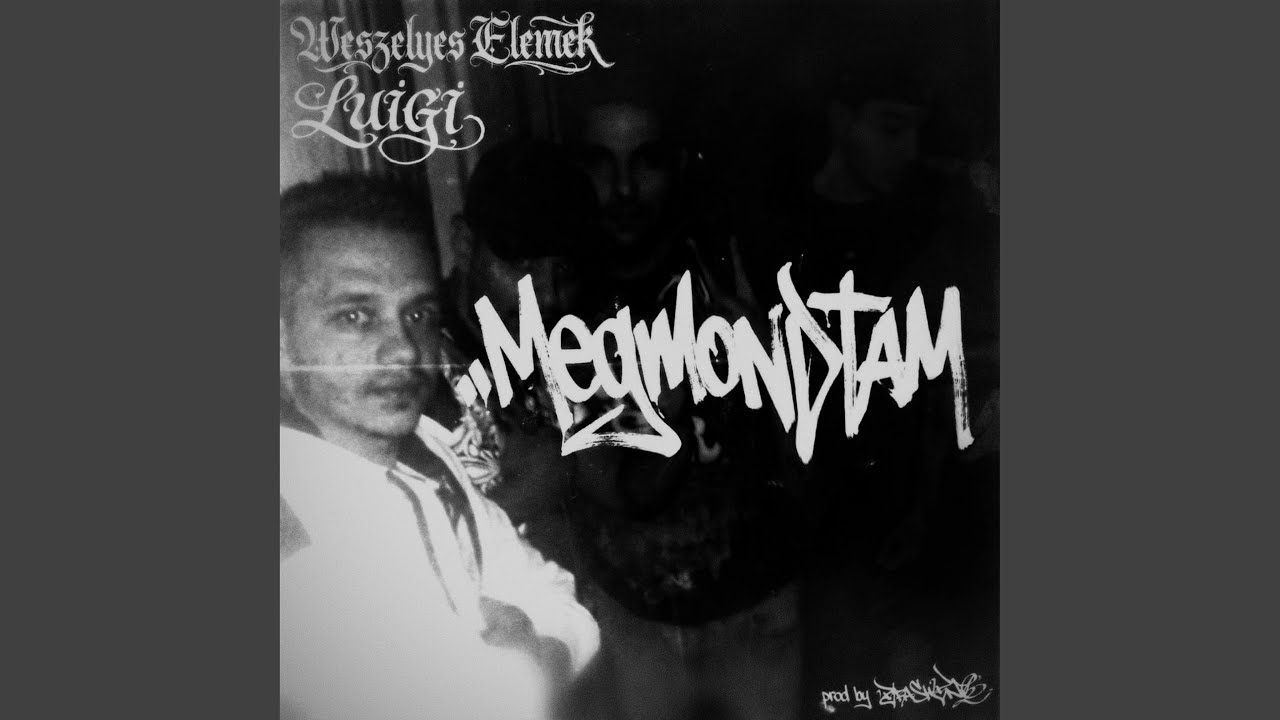 MEGMONDTAM (feat. Wesz&eacute;lyes Elemek & Luigi)